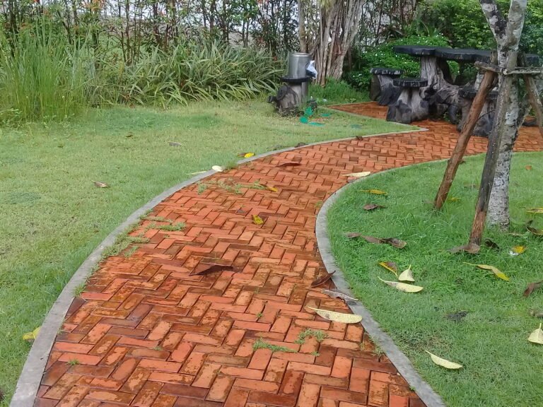 high-angle-view-footpath-park