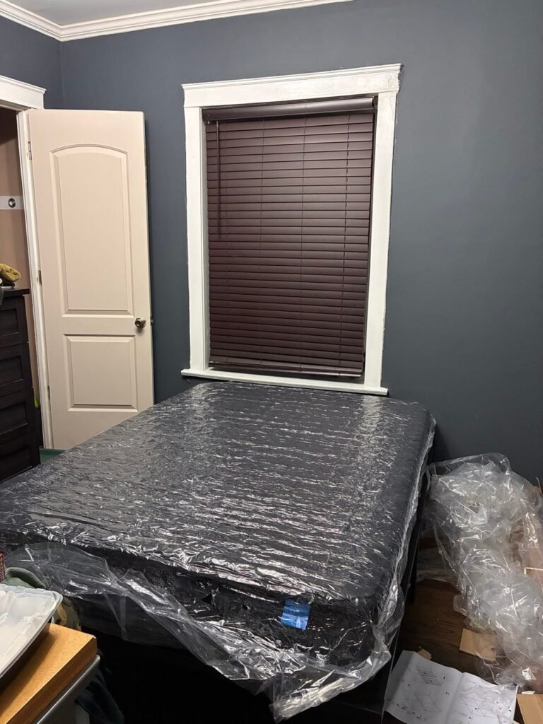 pro 15172 project 1790615109 0 1 5 768x1024